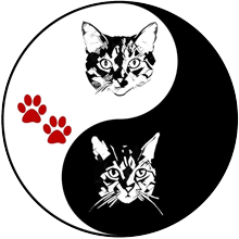 The Dutchie and Renee Senior Cat Rescue Foundation Logo