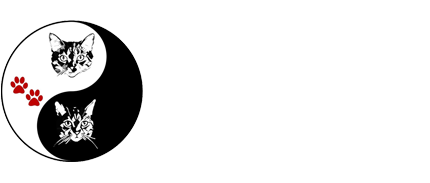 Dutchie & Renee Senior Cat Rescue Foundation